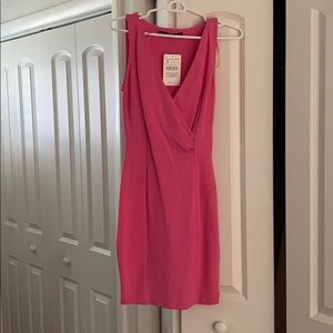 Zara Pink Dress